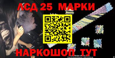прущие крисы Кингисепп