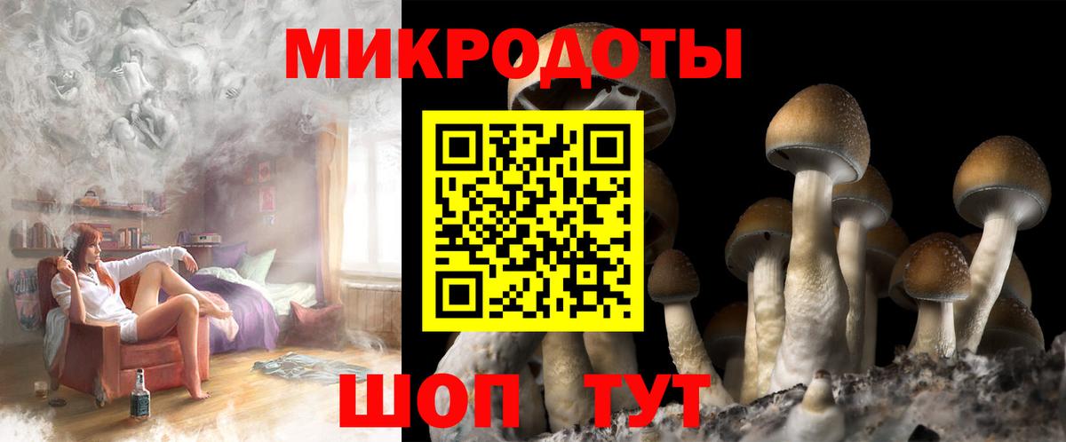 Кимовск  Псилоцибиновые грибы мицелий  Вход с VPN  Псилоцибиновые грибы прущие грибы 